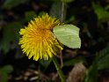 2017-03-30 11-28-42 Rando Meudon